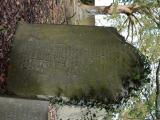 image of grave number 806621